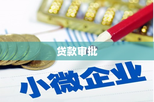 东营贷款审批
