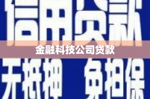 东营金融科技公司贷款