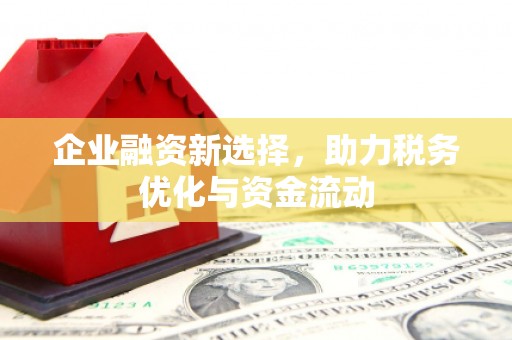东营企业融资新选择，助力税务优化与资金流动