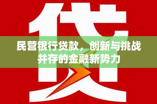 东营民营银行贷款，创新与挑战并存的金融新势力