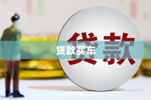 东营贷款买车
