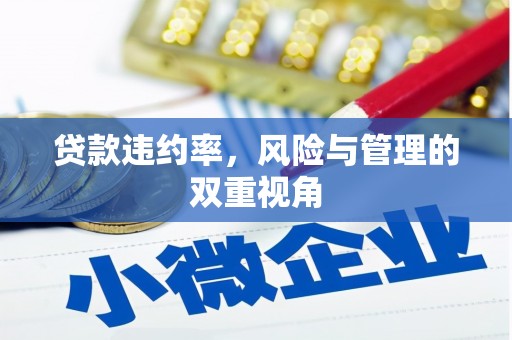 东营贷款违约率，风险与管理的双重视角