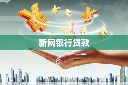 东营新网银行贷款