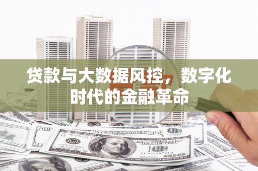 东营贷款与大数据风控，数字化时代的金融革命