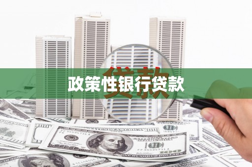 东营政策性银行贷款