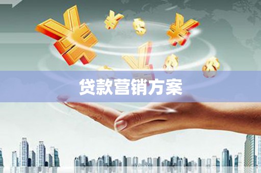 东营贷款营销方案