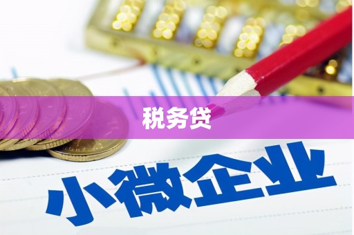 东营税务贷