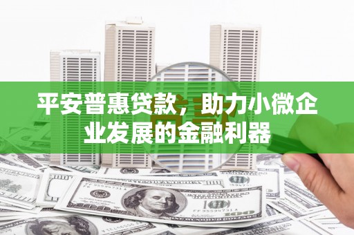 东营平安普惠贷款，助力小微企业发展的金融利器
