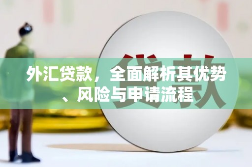 东营外汇贷款，全面解析其优势、风险与申请流程