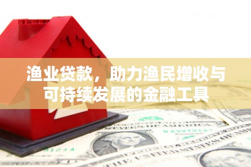 东营渔业贷款，助力渔民增收与可持续发展的金融工具