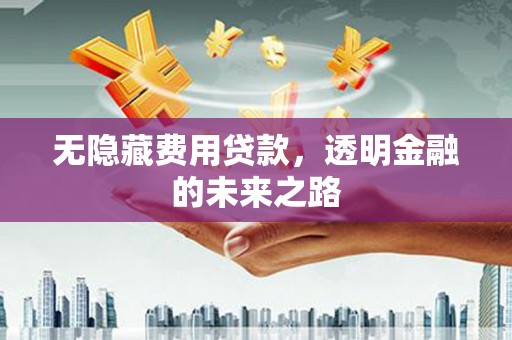 东营无隐藏费用贷款，透明金融的未来之路
