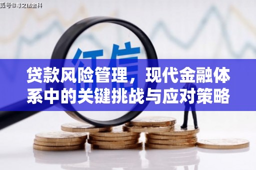 东营贷款风险管理，现代金融体系中的关键挑战与应对策略