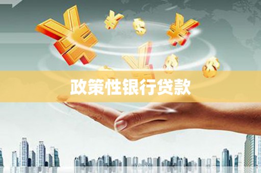 东营政策性银行贷款