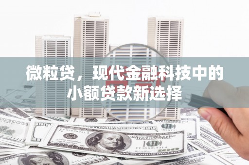东营微粒贷，现代金融科技中的小额贷款新选择