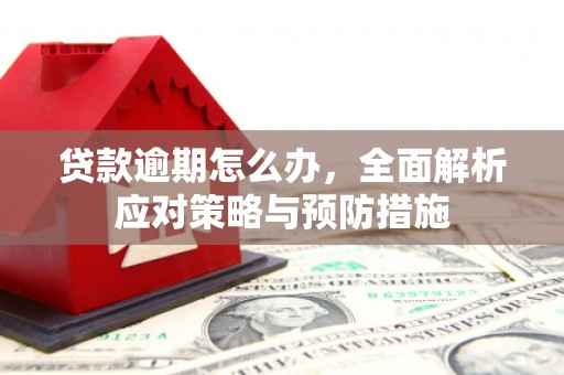 东营贷款逾期怎么办，全面解析应对策略与预防措施