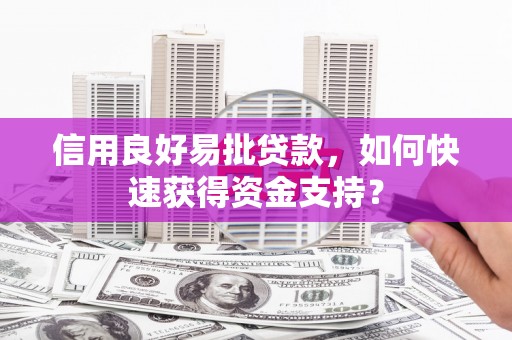 东营信用良好易批贷款，如何快速获得资金支持？