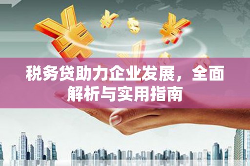 东营税务贷助力企业发展，全面解析与实用指南