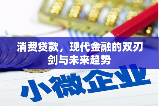 东营消费贷款，现代金融的双刃剑与未来趋势