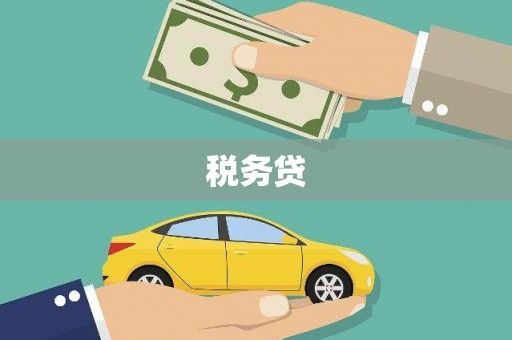 东营税务贷
