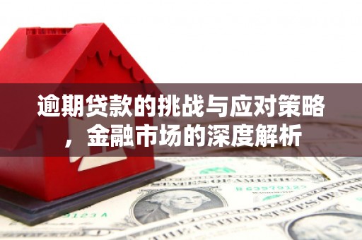 东营逾期贷款的挑战与应对策略，金融市场的深度解析