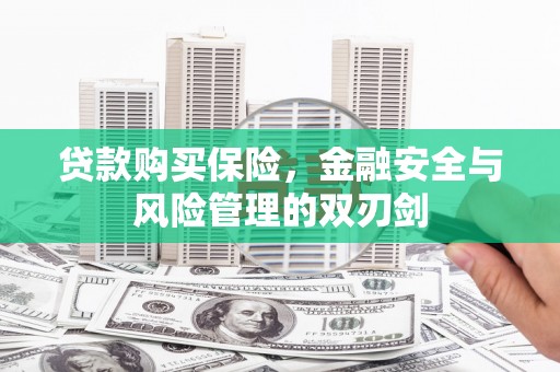 东营贷款购买保险，金融安全与风险管理的双刃剑
