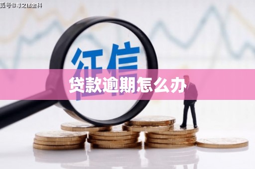 东营贷款逾期怎么办