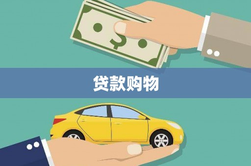 东营贷款购物