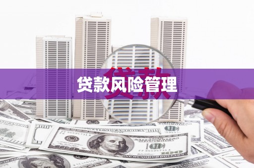 东营贷款风险管理