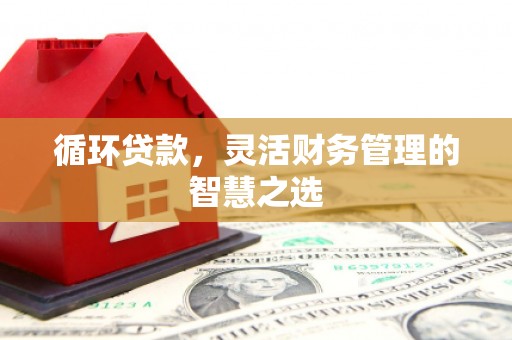 东营循环贷款，灵活财务管理的智慧之选