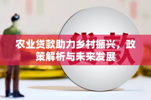 东营农业贷款助力乡村振兴，政策解析与未来发展