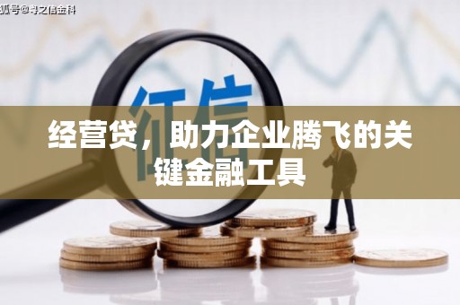 东营经营贷，助力企业腾飞的关键金融工具