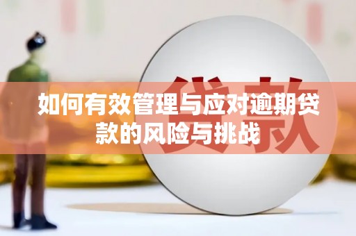 东营如何有效管理与应对逾期贷款的风险与挑战