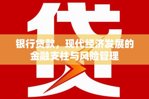 东营银行贷款，现代经济发展的金融支柱与风险管理