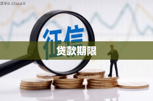 东营贷款期限