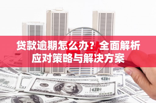 东营贷款逾期怎么办？全面解析应对策略与解决方案