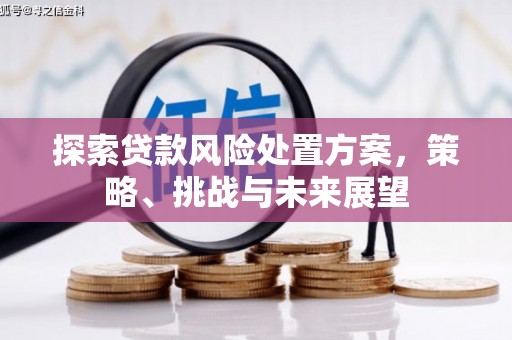 东营探索贷款风险处置方案，策略、挑战与未来展望