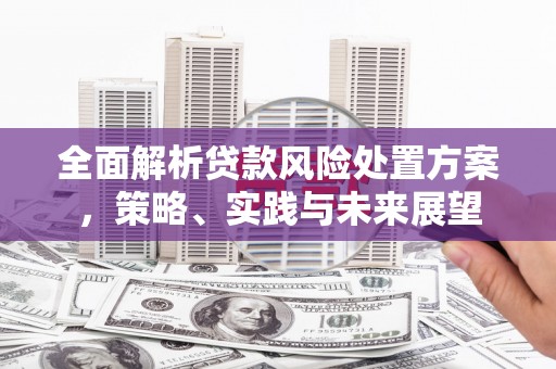 东营全面解析贷款风险处置方案，策略、实践与未来展望