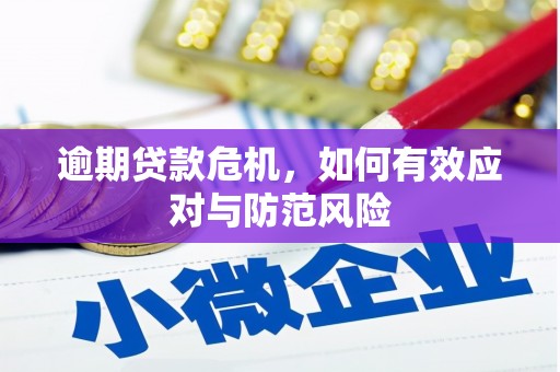 东营逾期贷款危机，如何有效应对与防范风险