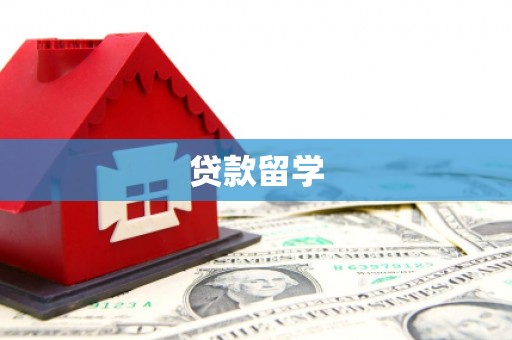 东营贷款留学