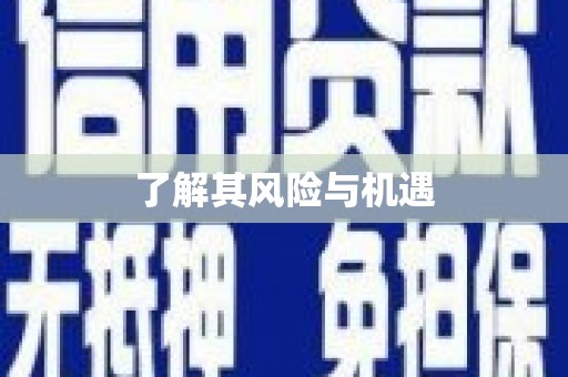 东营了解其风险与机遇