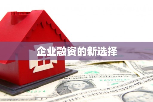 东营企业融资的新选择