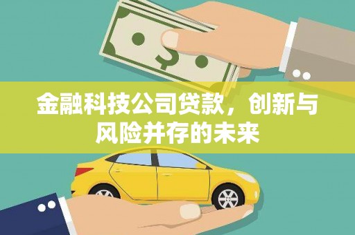 东营金融科技公司贷款，创新与风险并存的未来