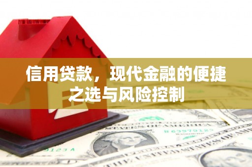 东营信用贷款，现代金融的便捷之选与风险控制