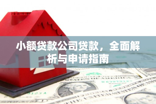 东营小额贷款公司贷款，全面解析与申请指南