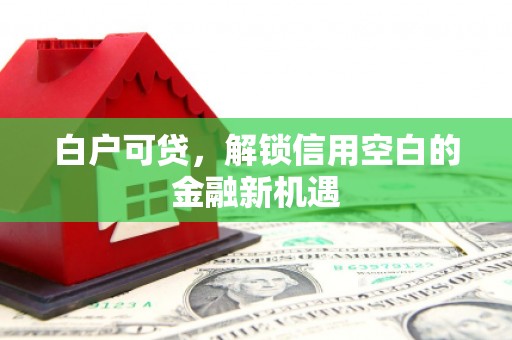 东营白户可贷，解锁信用空白的金融新机遇