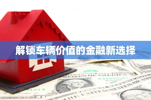 东营解锁车辆价值的金融新选择