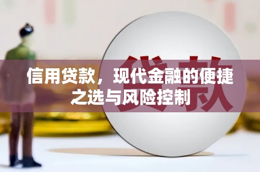 东营信用贷款，现代金融的便捷之选与风险控制