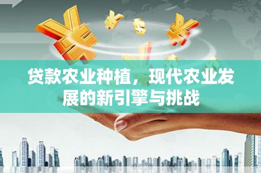 东营贷款农业种植，现代农业发展的新引擎与挑战