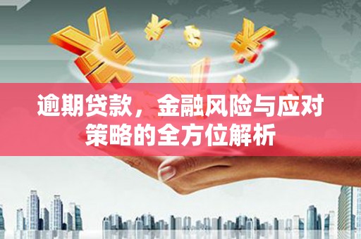 东营逾期贷款，金融风险与应对策略的全方位解析