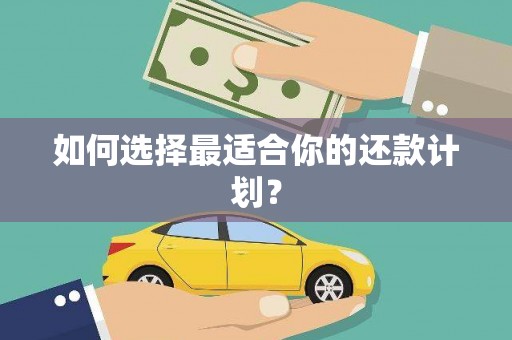 东营如何选择最适合你的还款计划？